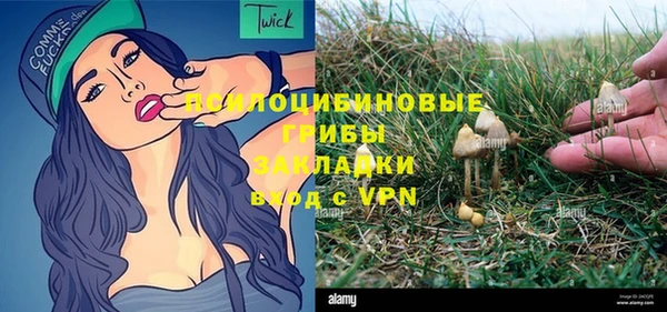 гидропоника Медногорск