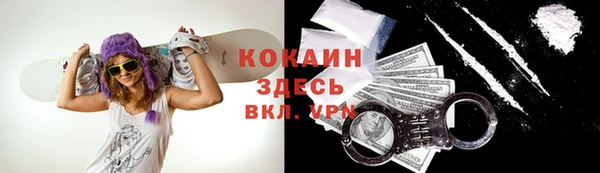 гидропоника Медногорск