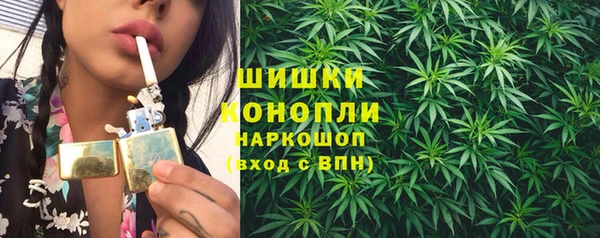 гидропоника Медногорск
