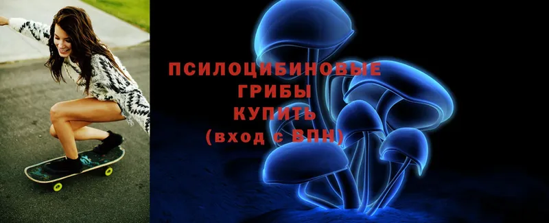 Галлюциногенные грибы Psilocybine cubensis  сколько стоит  hydra как зайти  Данилов 